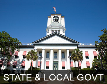 GOVERNMENT: STATE & LOCAL